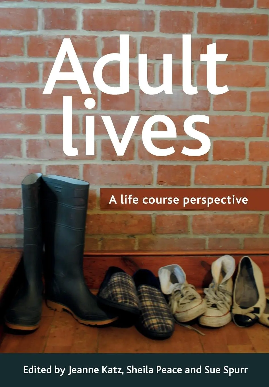 Cover: 9781447300434 | Adult lives | Jeanne Katz (u. a.) | Taschenbuch | Englisch | 2011