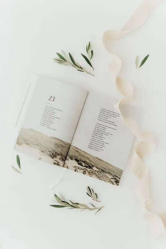 Bild: 9783417020434 | Psalmen | Ein Buch voller Schönheit, Weisheit und Hoffnung | Studio