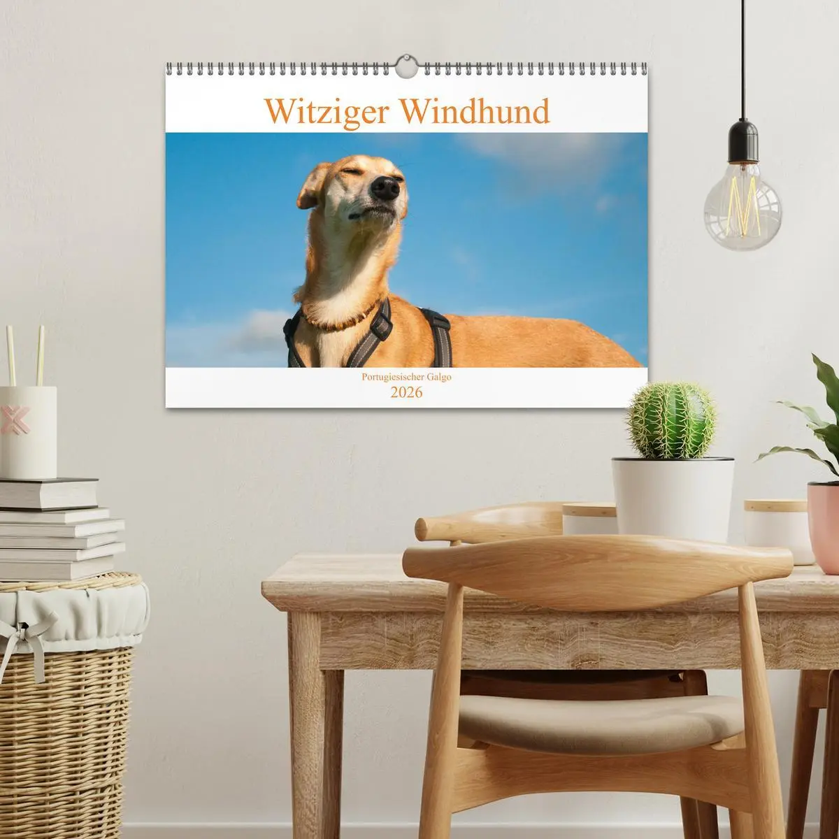 Bild: 9783457620434 | Witziger Windhund - Portugiesischer Galgo (Wandkalender 2026 DIN A3...