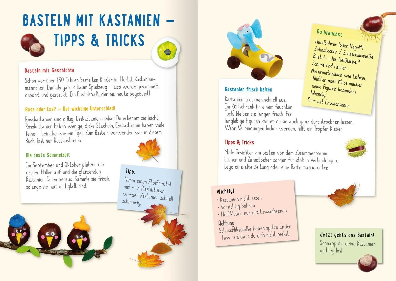 Bild: 9783845870434 | Mein Kastanien-Bastelbuch | Pia Deges | Taschenbuch | 64 S. | Deutsch