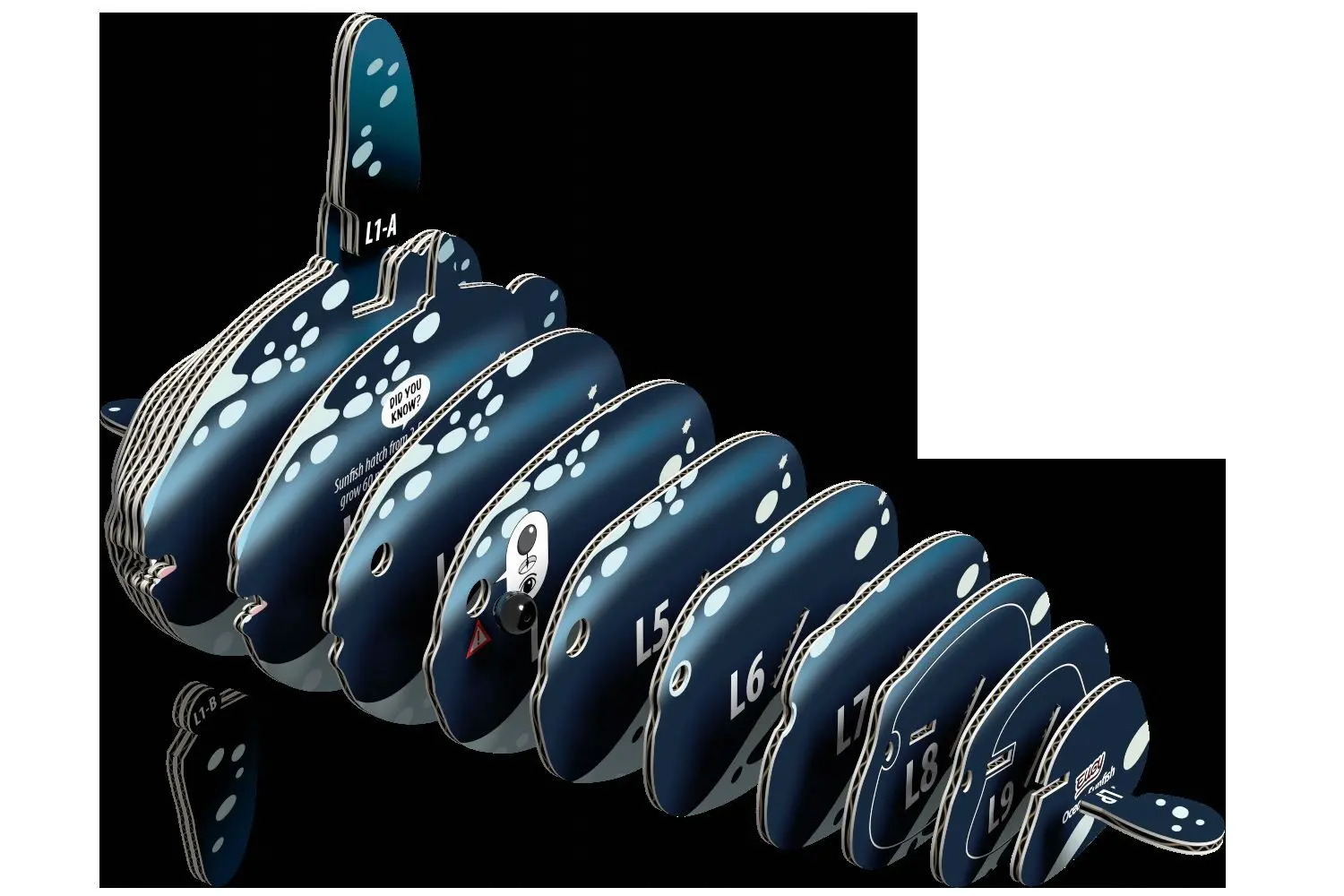 Bild: 9421036940534 | EUGY - 3D Bastelset Mondfisch | Kit (Bastelset) | In Karton | 650132