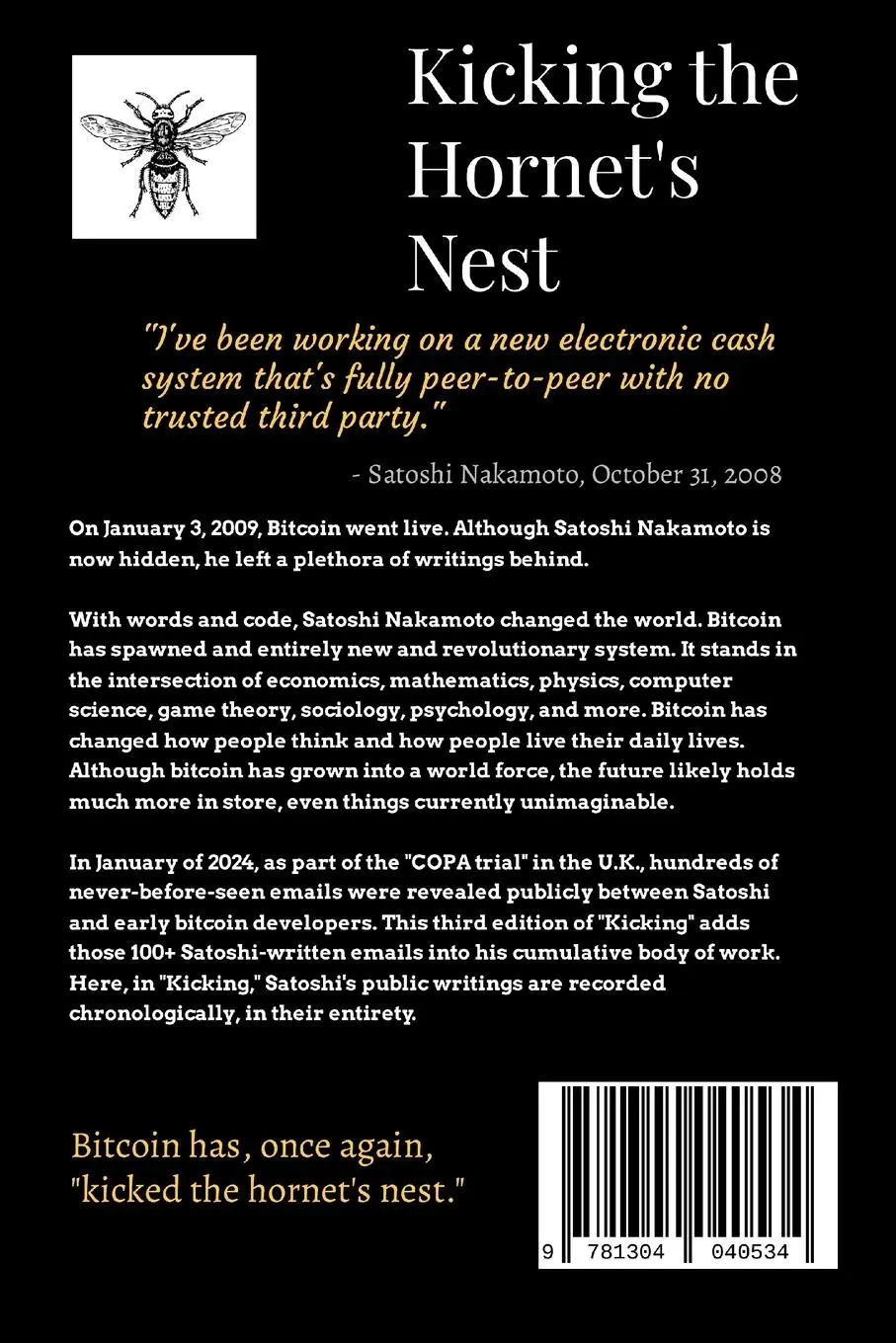 Rückseite: 9781304040534 | Kicking the Hornet's Nest | Mill Hill Books | Taschenbuch | Englisch
