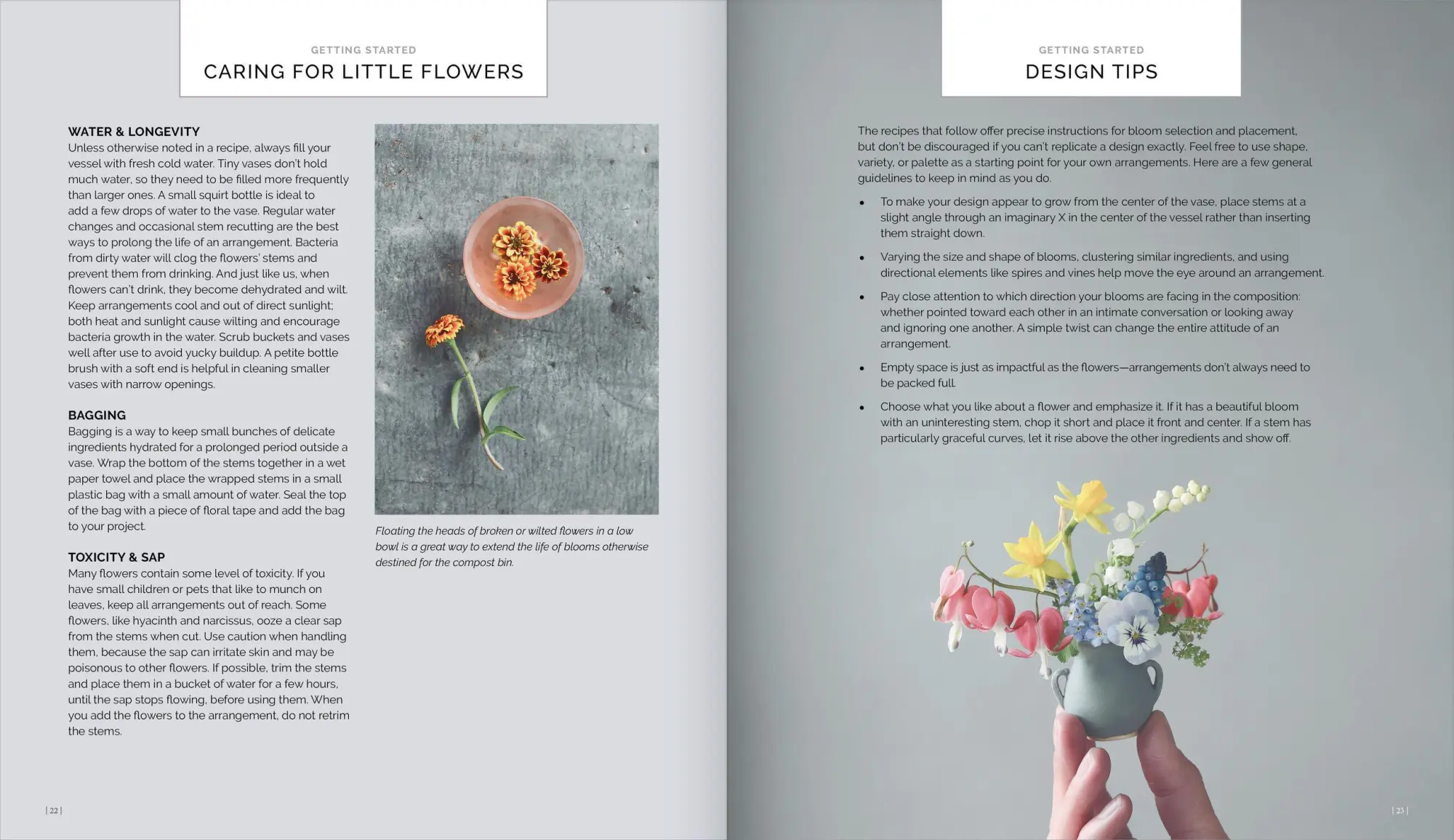 Bild: 9781648290534 | The Little Flower Recipe Book | Jill Rizzo | Buch | Gebunden | 2022