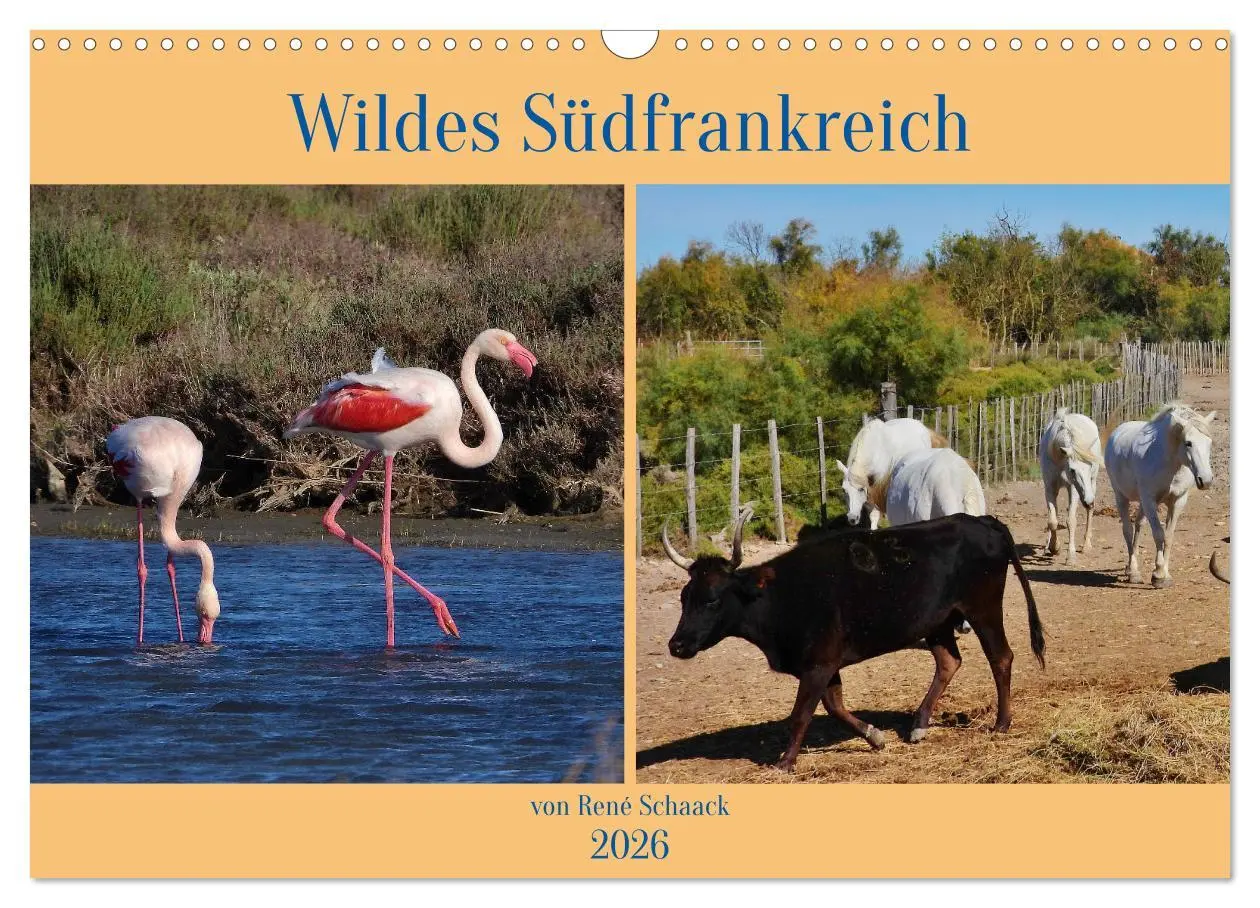 Cover: 9783457780534 | Wildes Südfrankreich (Wandkalender 2026 DIN A3 quer), CALVENDO...