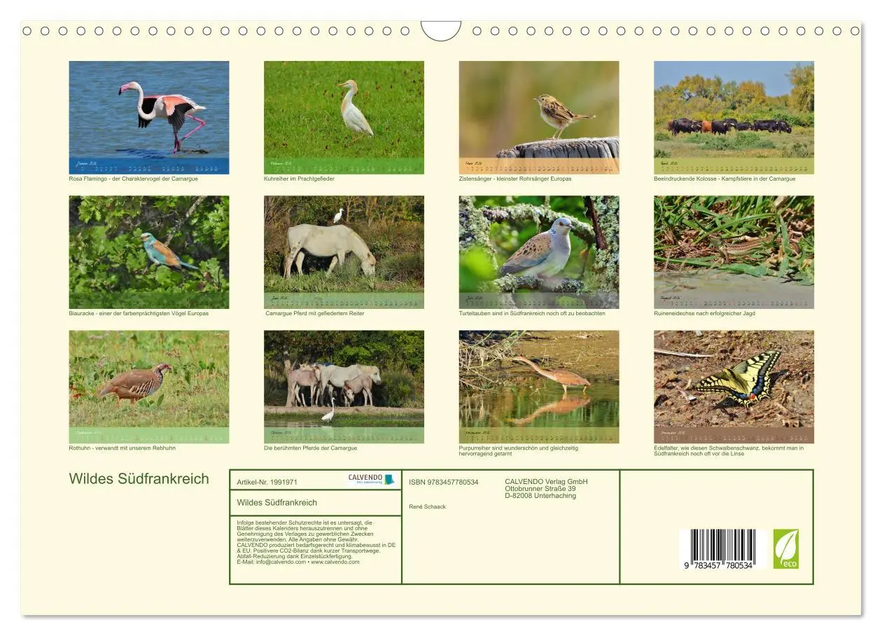 Bild: 9783457780534 | Wildes Südfrankreich (Wandkalender 2026 DIN A3 quer), CALVENDO...