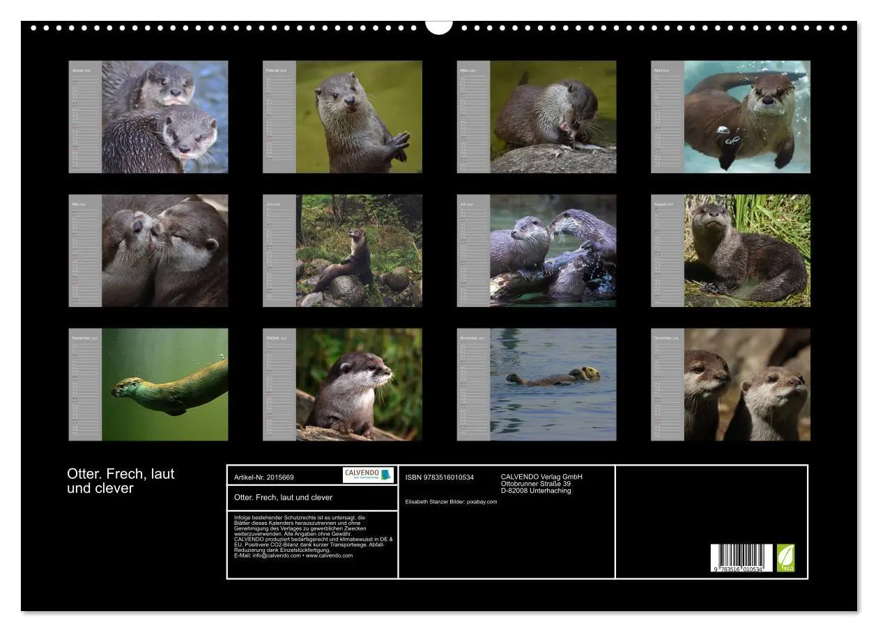 Bild: 9783516010534 | Otter. Frech, laut und clever (Wandkalender 2026 DIN A2 quer),...