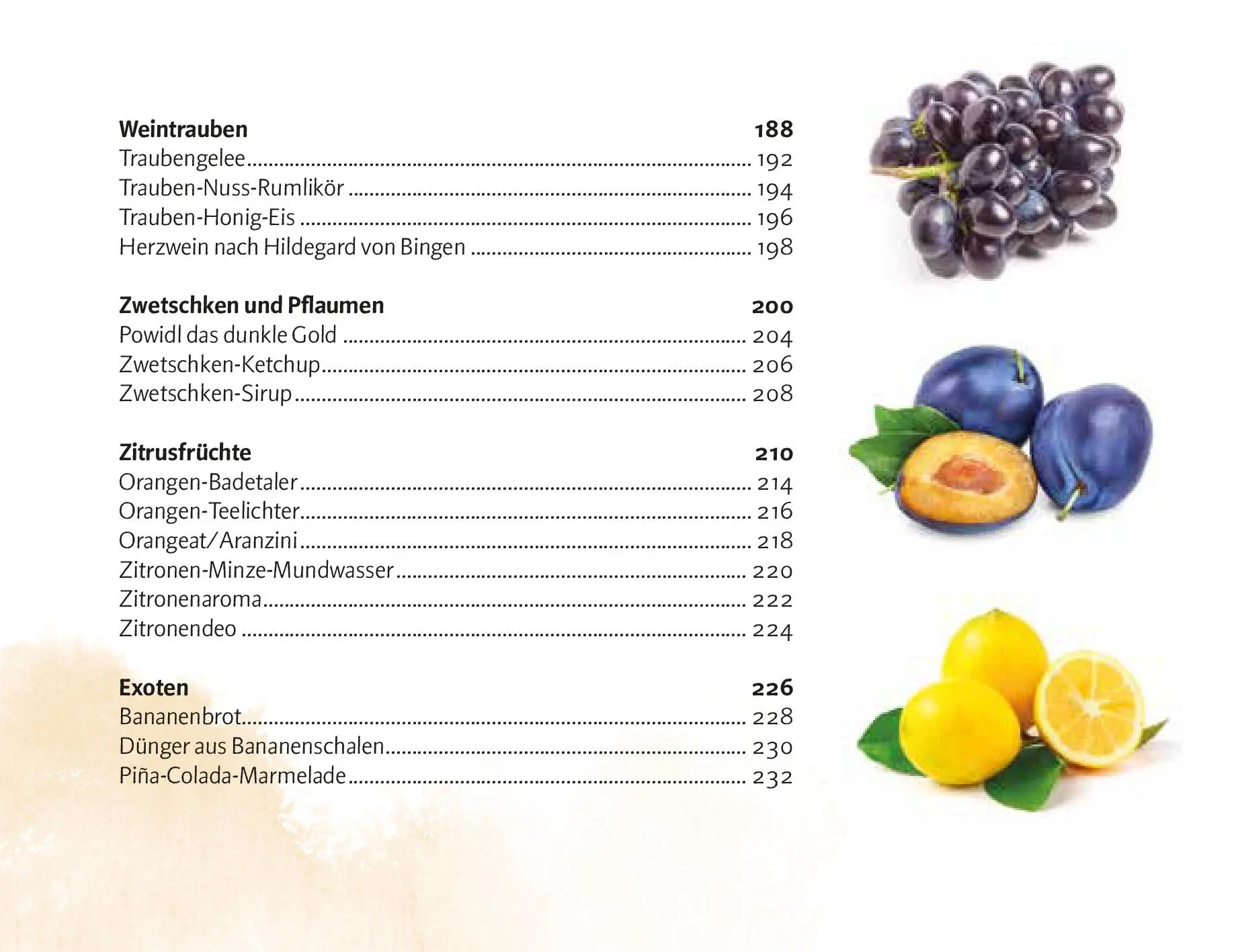 Bild: 9783702510534 | Freche Früchtchen | Doris Kern | Buch | Selbstgemachtes aus der Natur