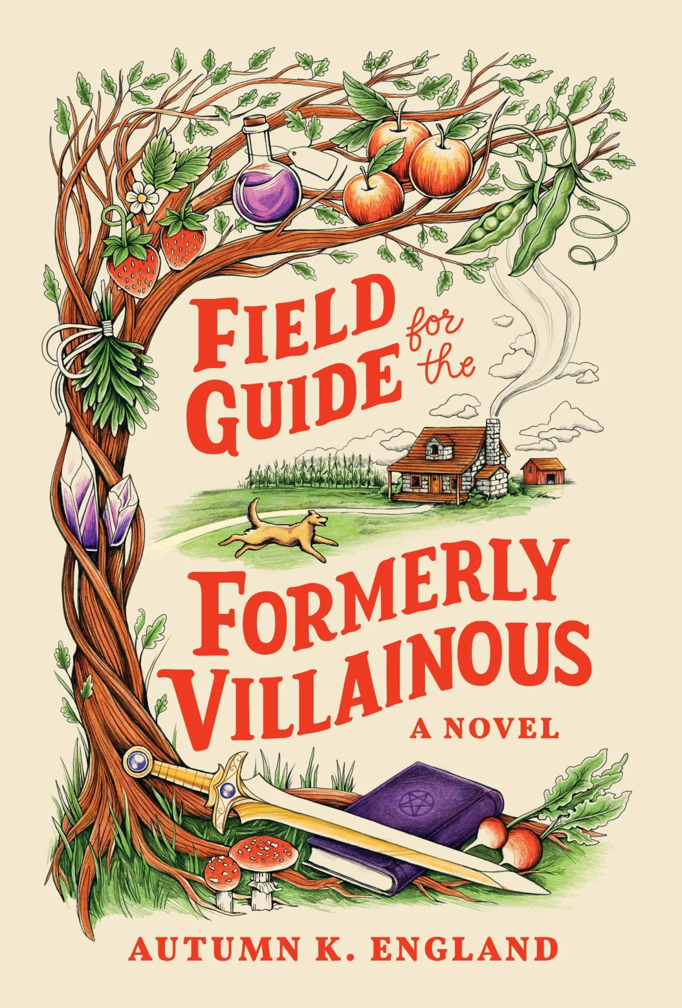 Cover: 9781464280634 | Field Guide for the Formerly Villainous | Autumn England | Taschenbuch