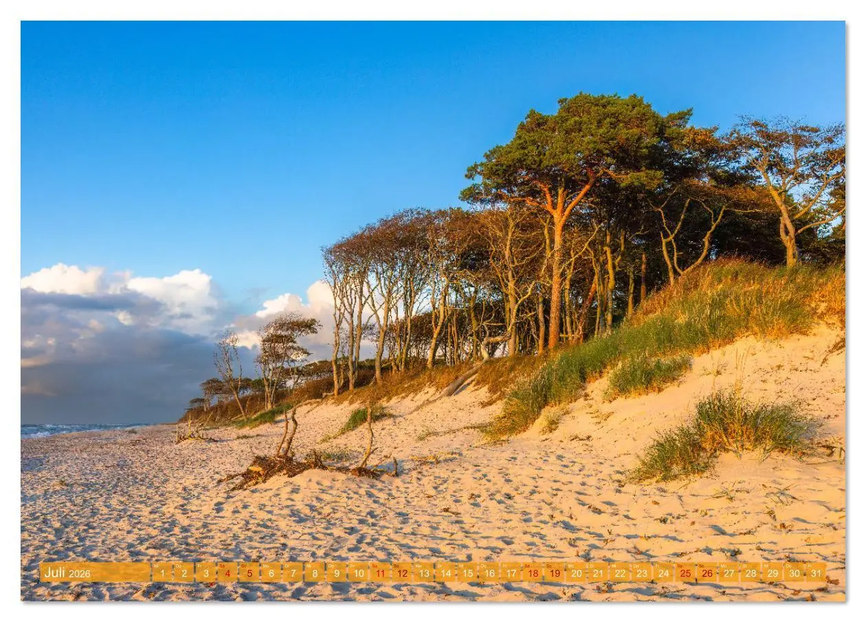Bild: 9783516620634 | Fischland-Darß-Zingst Impressionen einer Halbinsel (Tischkalender...
