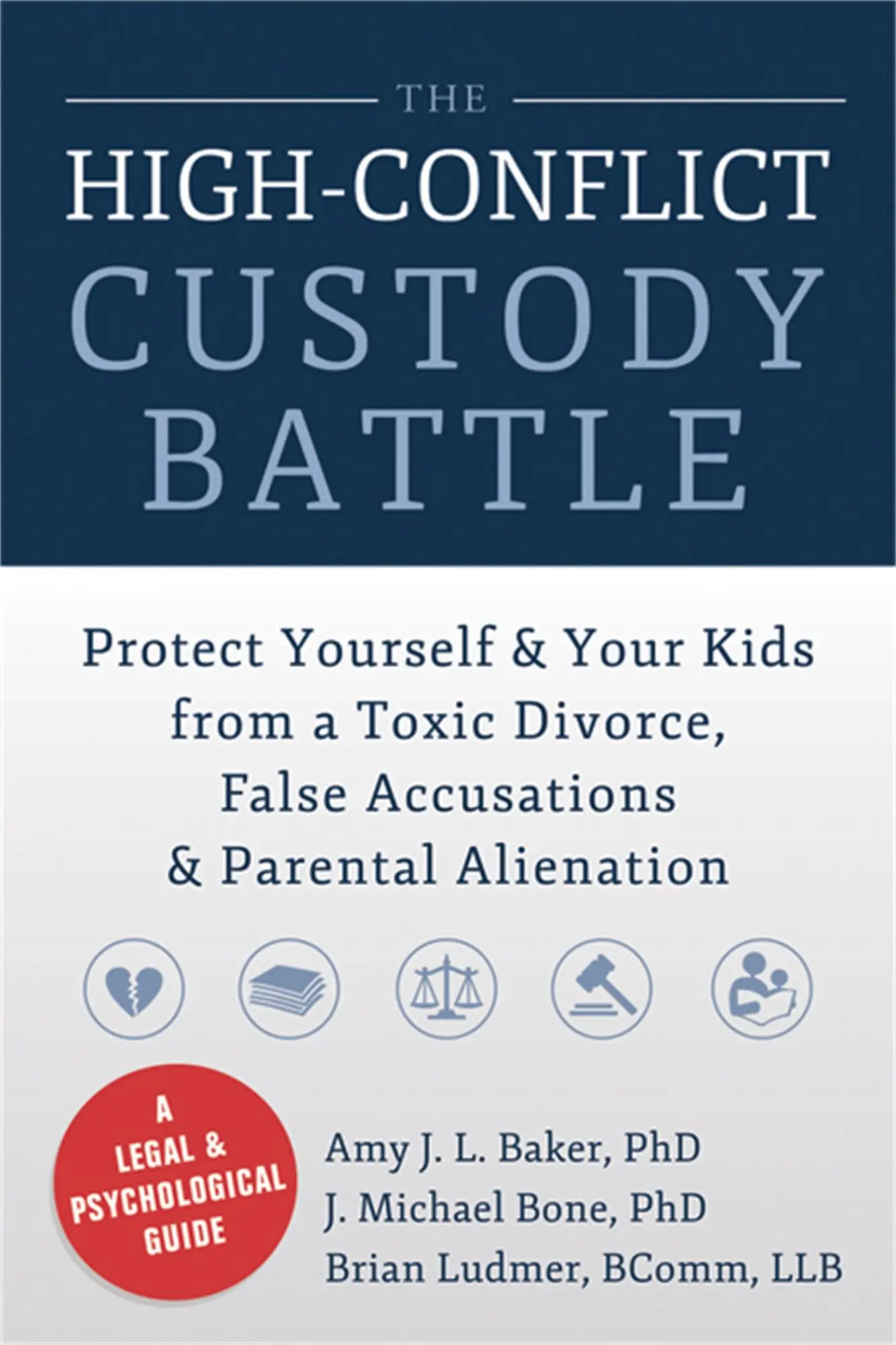 Cover: 9781626250734 | The High-Conflict Custody Battle | Amy J L Baker (u. a.) | Taschenbuch