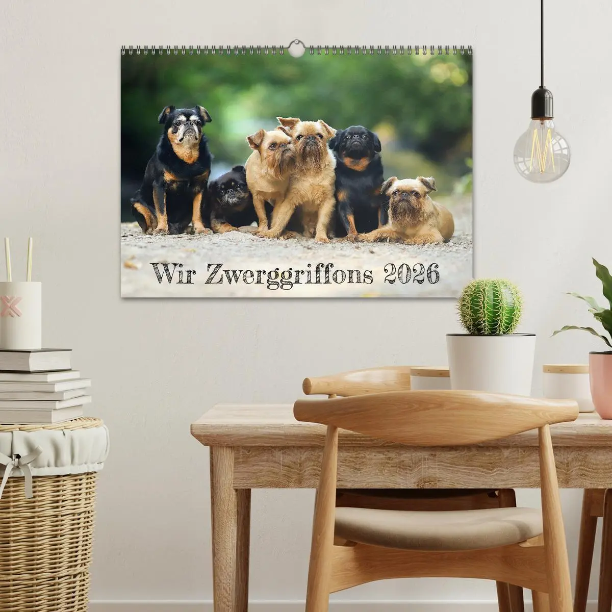 Bild: 9783457561034 | Wir Zwerggriffons 2026 (Wandkalender 2026 DIN A3 quer), CALVENDO...