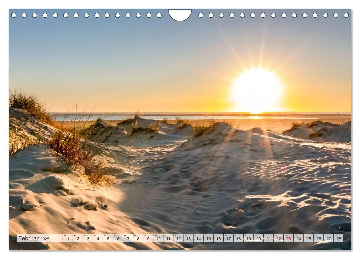 Bild: 9783435081134 | BORKUM-LIEBE (Wandkalender 2025 DIN A4 quer), CALVENDO Monatskalender
