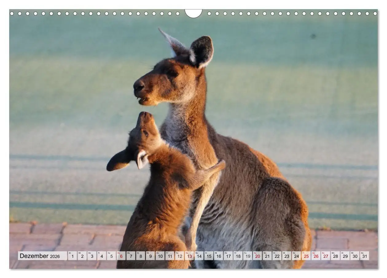 Bild: 9783457481134 | Australien - "Nur wo Du zu Fuß warst, bist Du wirklich gewesen"...