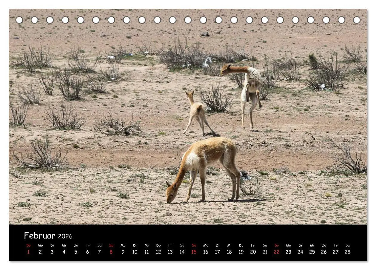 Bild: 9783516021134 | Traumziel Peru (Tischkalender 2026 DIN A5 quer), CALVENDO...