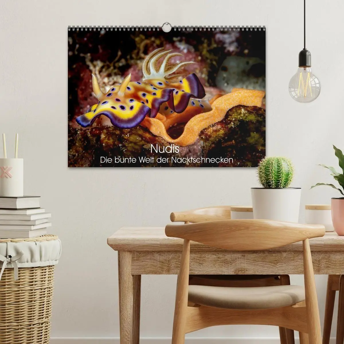 Bild: 9783516641134 | Nudis - Die bunte Welt der Nacktschnecken (Wandkalender 2026 DIN A3...