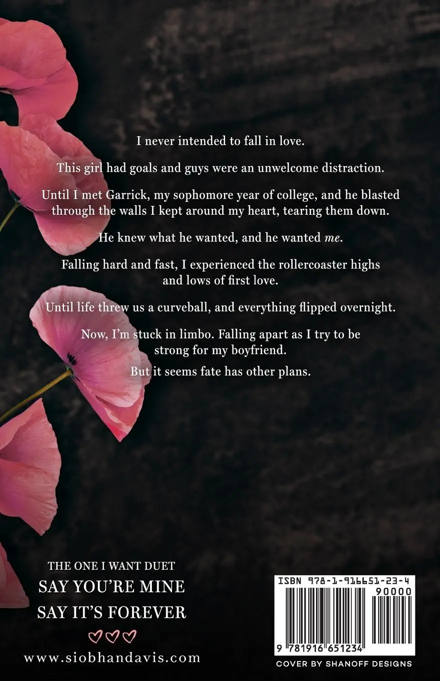 Rückseite: 9781916651234 | Say You're Mine | Alternate Cover (The One I Want Duet) | Davis | Buch