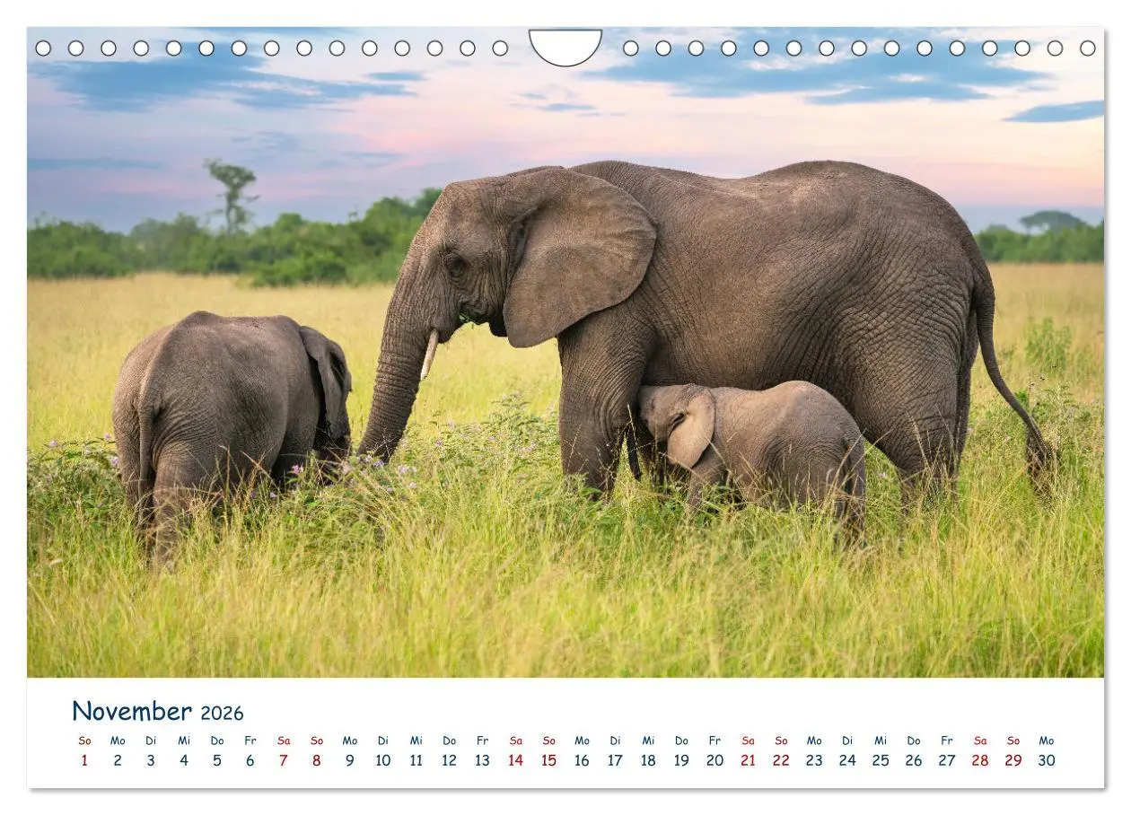 Bild: 9783457611234 | Fernweh Uganda - Naturschönheit Ostafrikas (Wandkalender 2026 DIN...