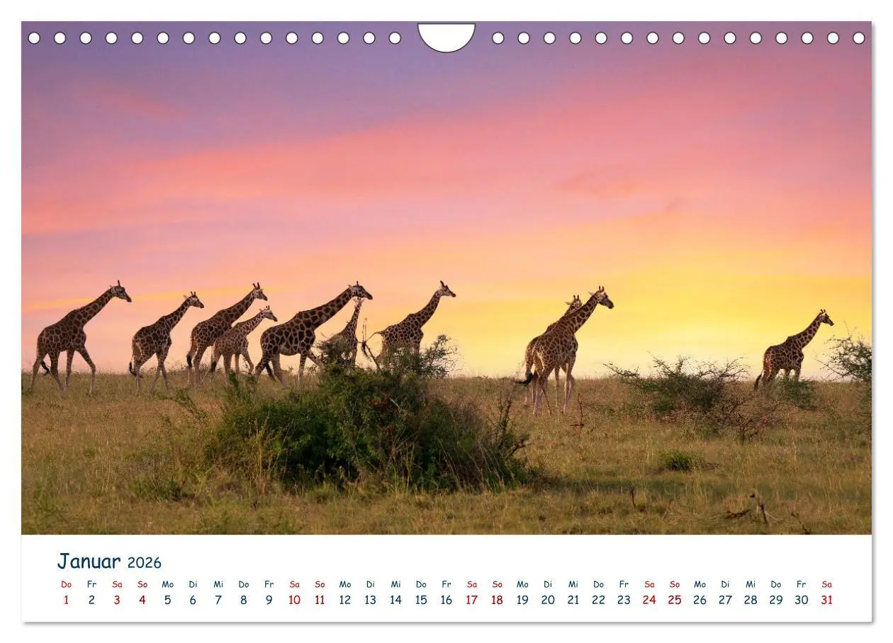Bild: 9783457611234 | Fernweh Uganda - Naturschönheit Ostafrikas (Wandkalender 2026 DIN...
