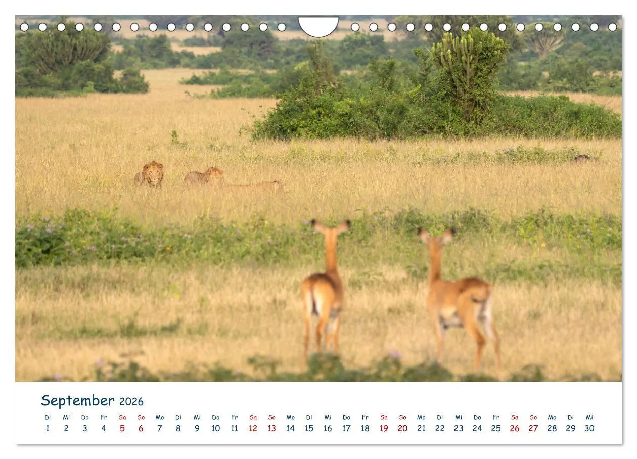 Bild: 9783457611234 | Fernweh Uganda - Naturschönheit Ostafrikas (Wandkalender 2026 DIN...