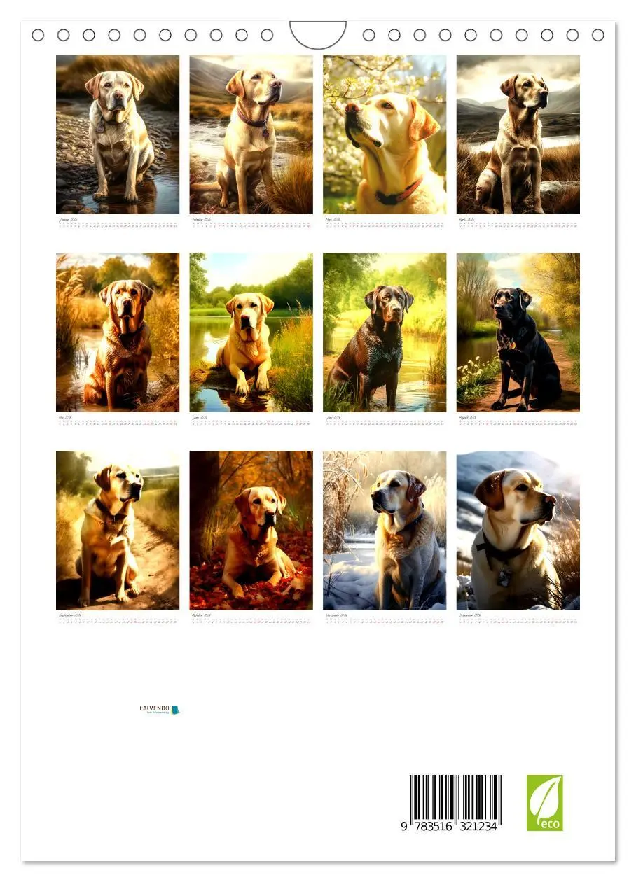 Bild: 9783516321234 | Der Labrador (Wandkalender 2026 DIN A4 hoch), CALVENDO Monatskalender