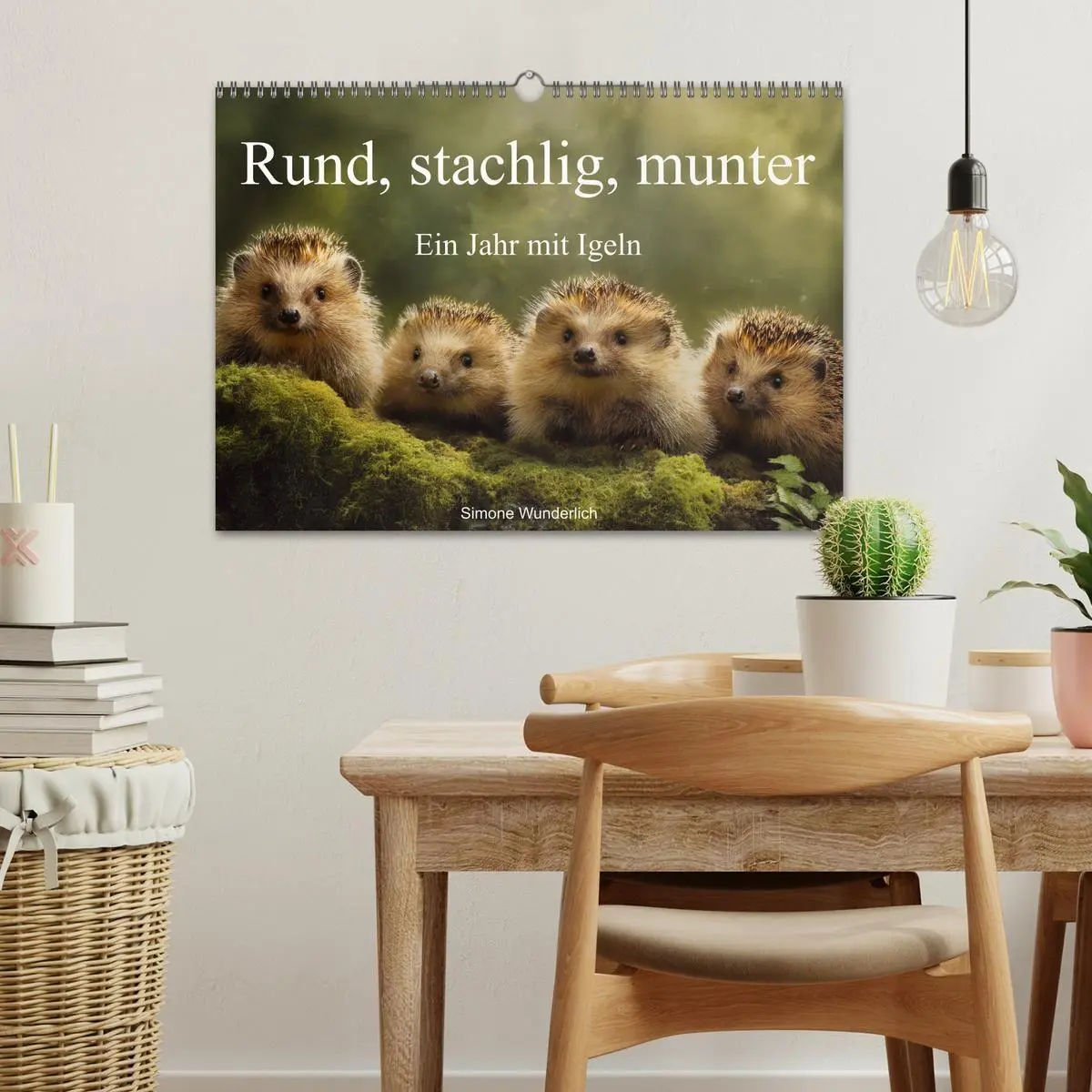 Bild: 9783516941234 | Rund, stachlig, munter - Ein Jahr mit Igeln (Wandkalender 2027 DIN...