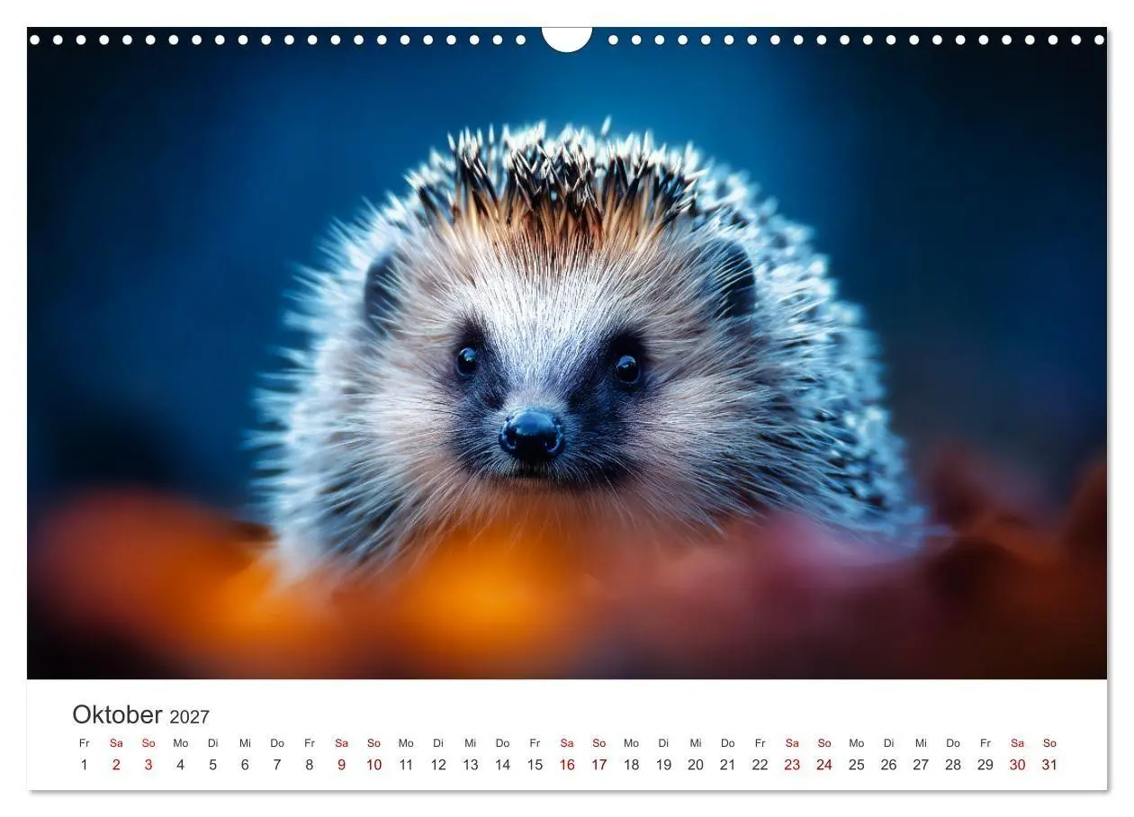 Bild: 9783516941234 | Rund, stachlig, munter - Ein Jahr mit Igeln (Wandkalender 2027 DIN...