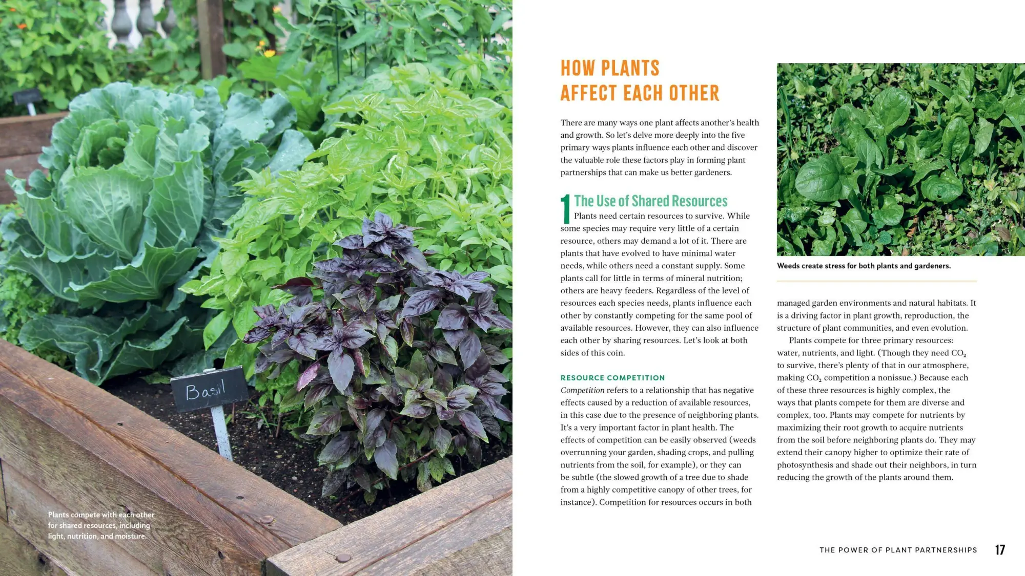 Bild: 9781635861334 | Plant Partners | Jessica Walliser | Taschenbuch | Englisch | 2020