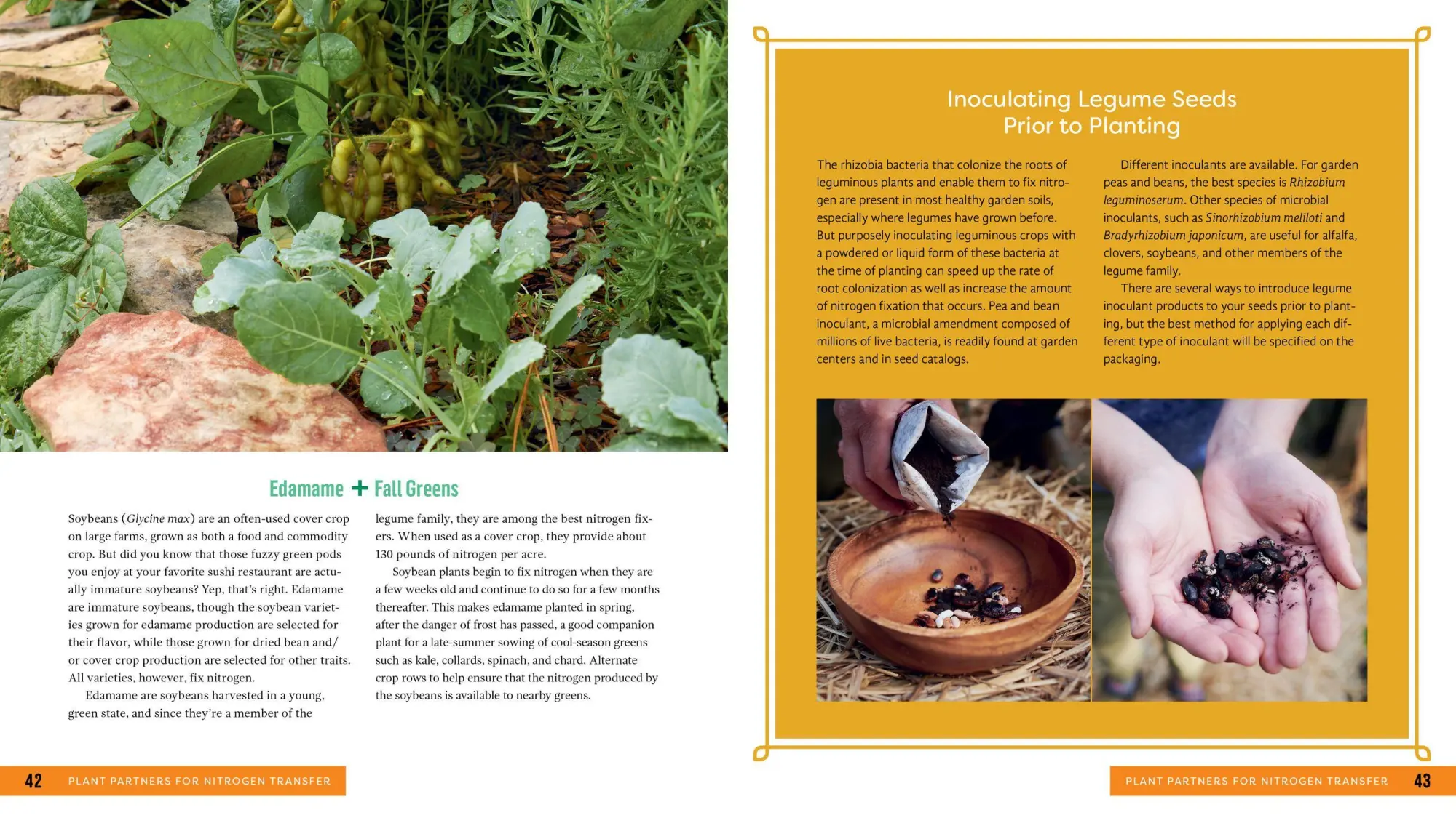 Bild: 9781635861334 | Plant Partners | Jessica Walliser | Taschenbuch | Englisch | 2020