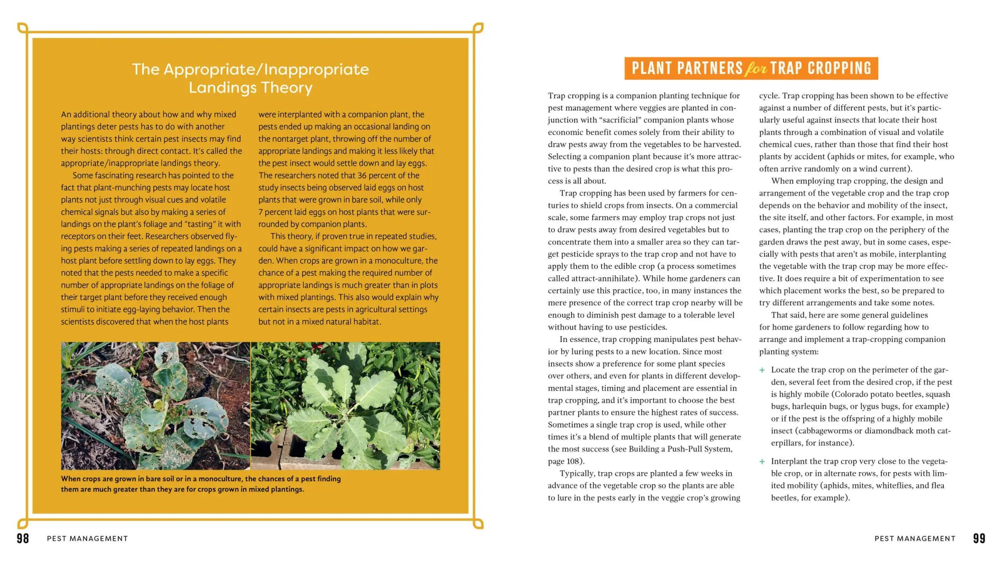 Bild: 9781635861334 | Plant Partners | Jessica Walliser | Taschenbuch | Englisch | 2020