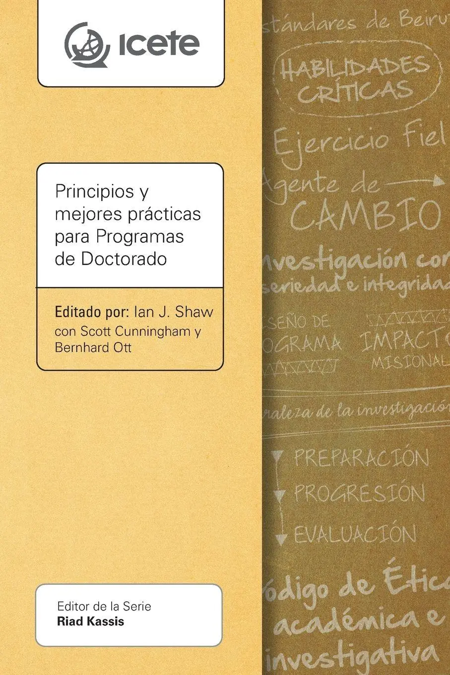 Cover: 9781786411334 | Principios y mejores prácticas para Programas de Doctorado | Buch