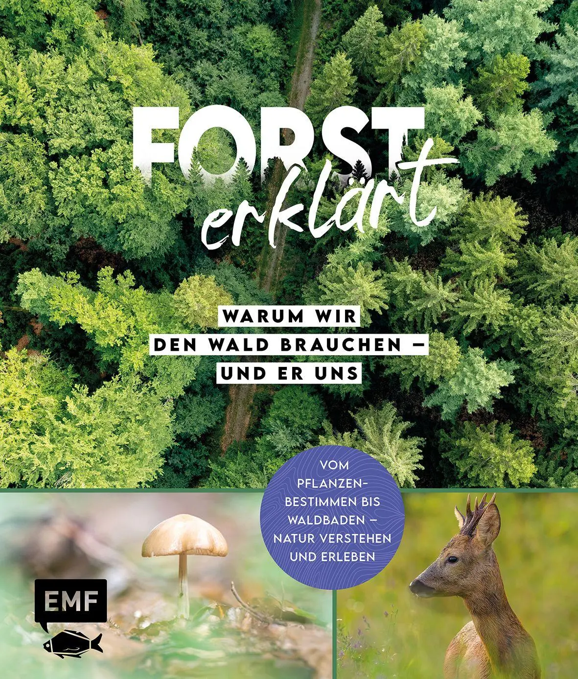 Cover: 9783745931334 | Forst erklärt: Warum wir den Wald brauchen - und er uns | erklärt