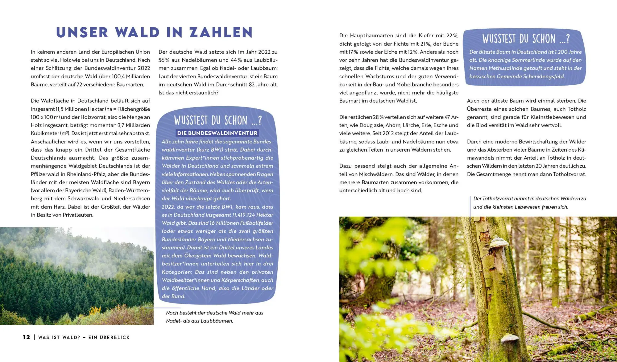 Bild: 9783745931334 | Forst erklärt: Warum wir den Wald brauchen - und er uns | erklärt