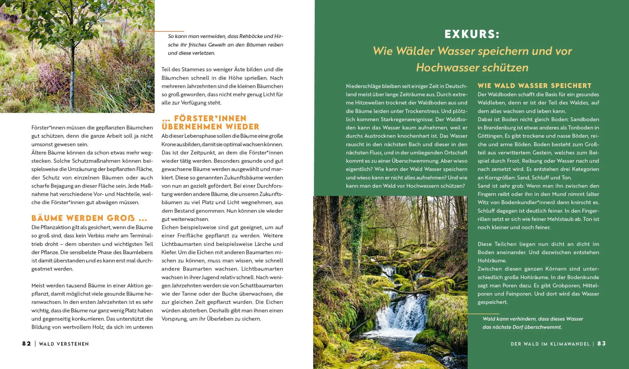Bild: 9783745931334 | Forst erklärt: Warum wir den Wald brauchen - und er uns | erklärt
