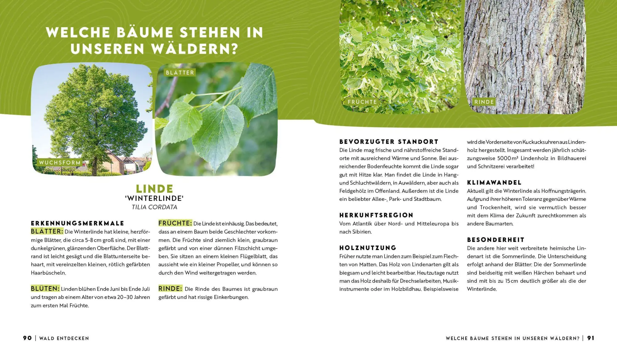 Bild: 9783745931334 | Forst erklärt: Warum wir den Wald brauchen - und er uns | erklärt