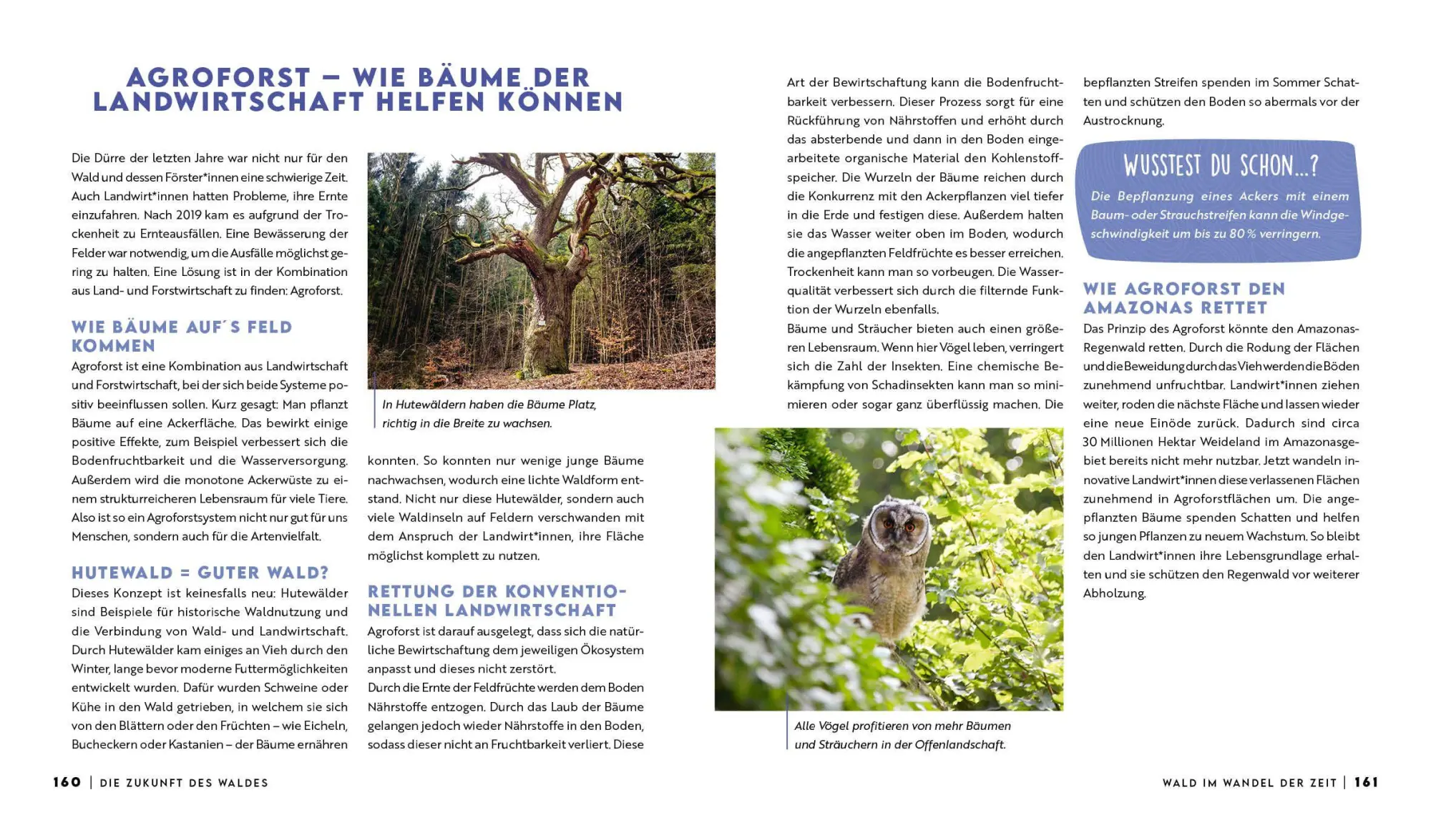 Bild: 9783745931334 | Forst erklärt: Warum wir den Wald brauchen - und er uns | erklärt