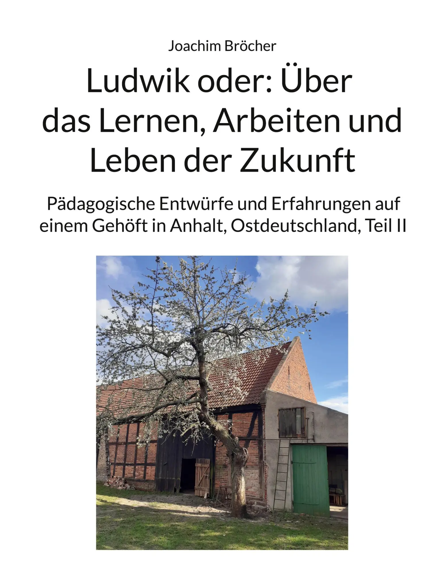 Cover: 9783756821334 | Ludwik oder: Über das Lernen, Arbeiten und Leben der Zukunft | Bröcher