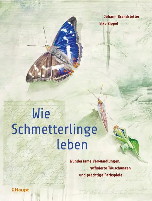 Cover: 9783258081434 | Wie Schmetterlinge leben | Johann Brandstetter (u. a.) | Buch | 224 S.