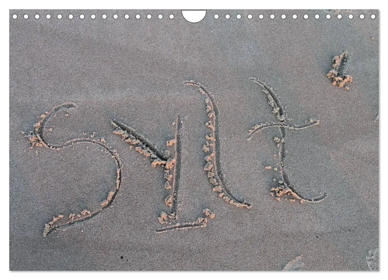 Cover: 9783516161434 | Sylt 2026 (Wandkalender 2026 DIN A4 quer), CALVENDO Monatskalender