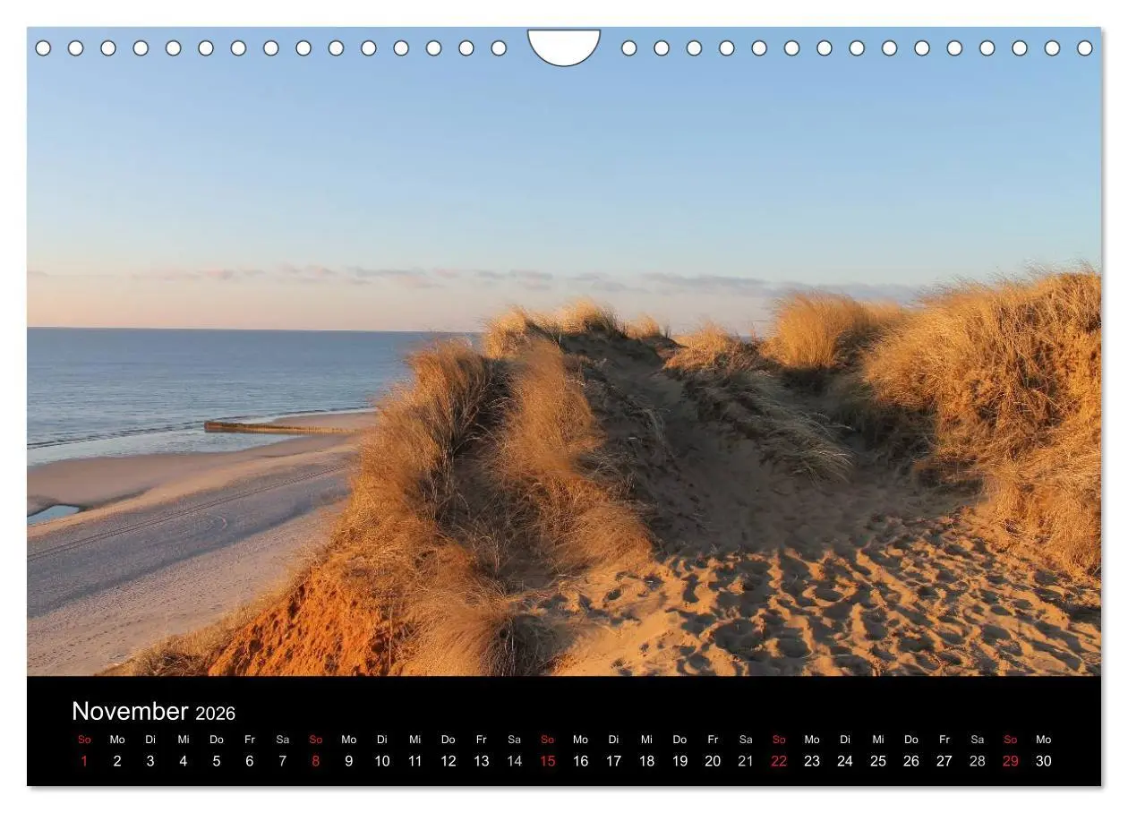 Bild: 9783516161434 | Sylt 2026 (Wandkalender 2026 DIN A4 quer), CALVENDO Monatskalender