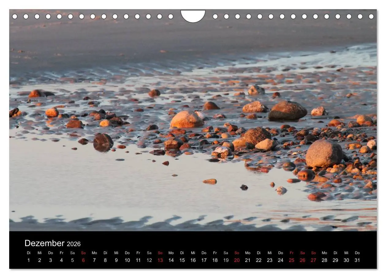 Bild: 9783516161434 | Sylt 2026 (Wandkalender 2026 DIN A4 quer), CALVENDO Monatskalender