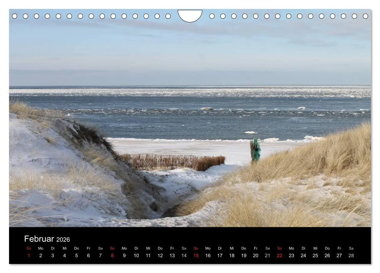 Bild: 9783516161434 | Sylt 2026 (Wandkalender 2026 DIN A4 quer), CALVENDO Monatskalender