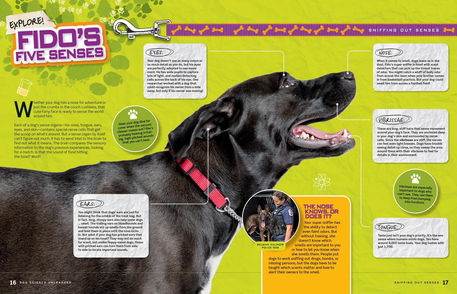 Bild: 9781426331534 | Dog Science Unleashed | Jodi Wheeler-Toppen (u. a.) | Taschenbuch