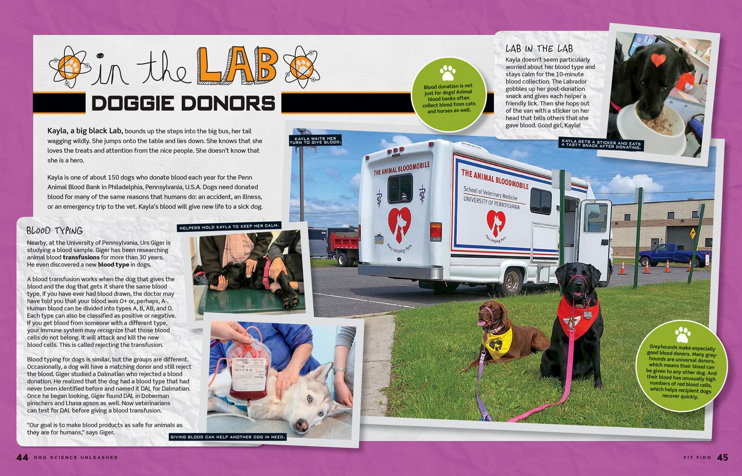 Bild: 9781426331534 | Dog Science Unleashed | Jodi Wheeler-Toppen (u. a.) | Taschenbuch