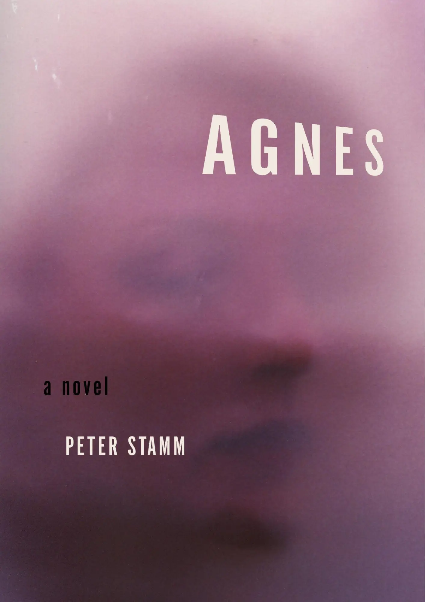 Cover: 9781590511534 | Agnes | Peter Stamm | Taschenbuch | Englisch | 2019