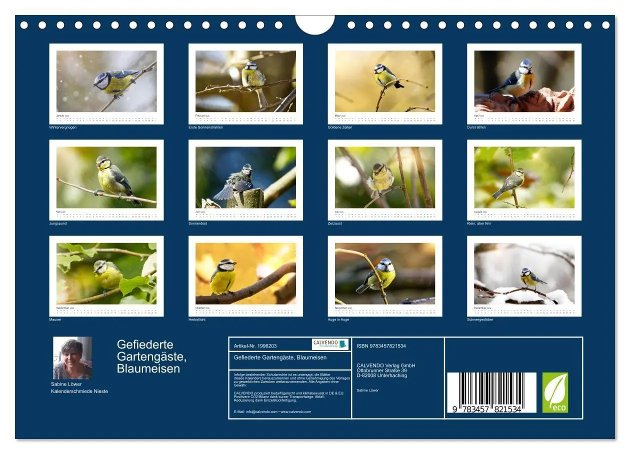 Bild: 9783457821534 | Gefiederte Gartengäste, Blaumeisen (Wandkalender 2026 DIN A4 quer),...