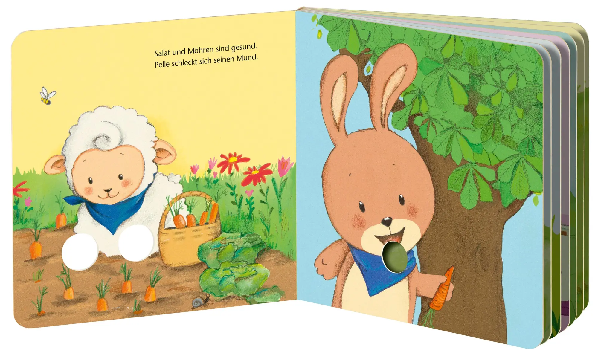 Bild: 9783473421534 | Ohren wackeln, Beine zappeln | Mein Fingerspielbuch | Miriam Cordes