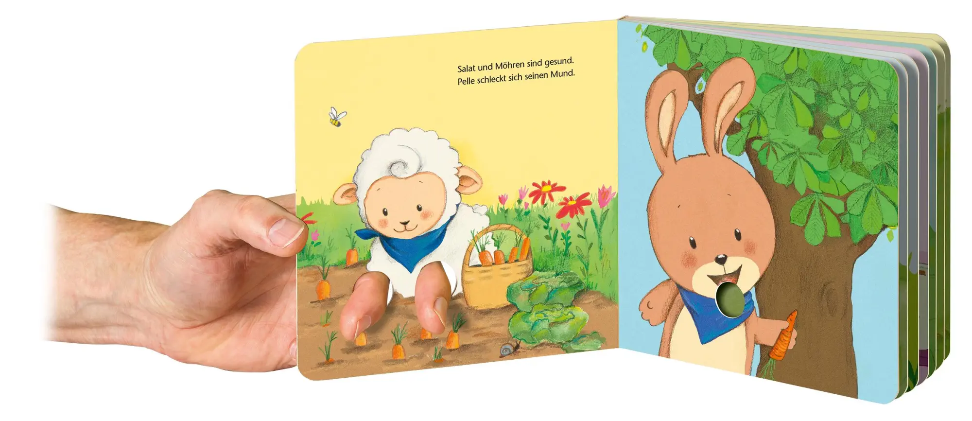 Bild: 9783473421534 | Ohren wackeln, Beine zappeln | Mein Fingerspielbuch | Miriam Cordes