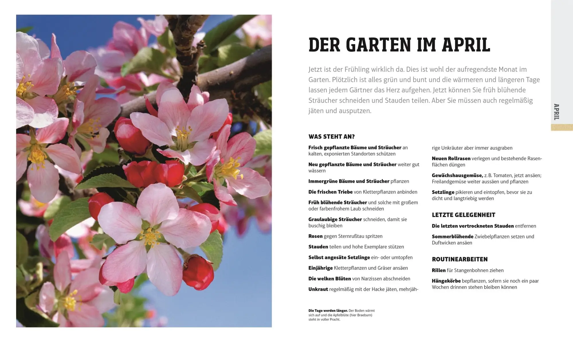Bild: 9783831041534 | Das Gartenjahr | Die richtige Planung Monat für Monat | Ian Spence