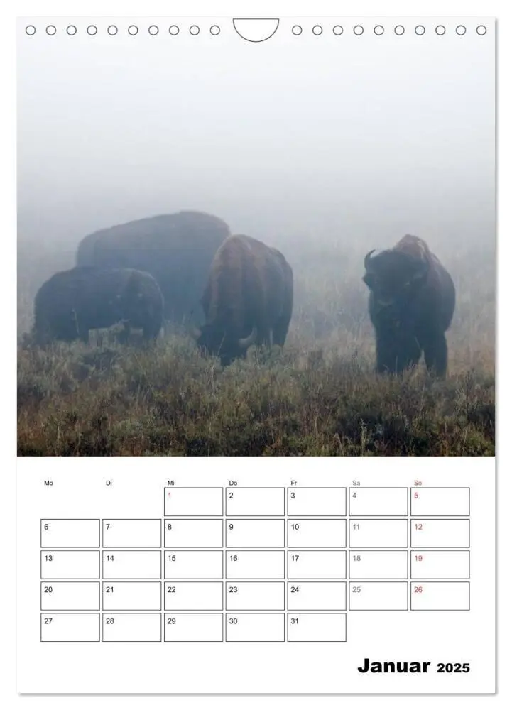 Bild: 9783457051634 | Yellowstone und Grand Tetons Nationalparks (Wandkalender 2025 DIN...