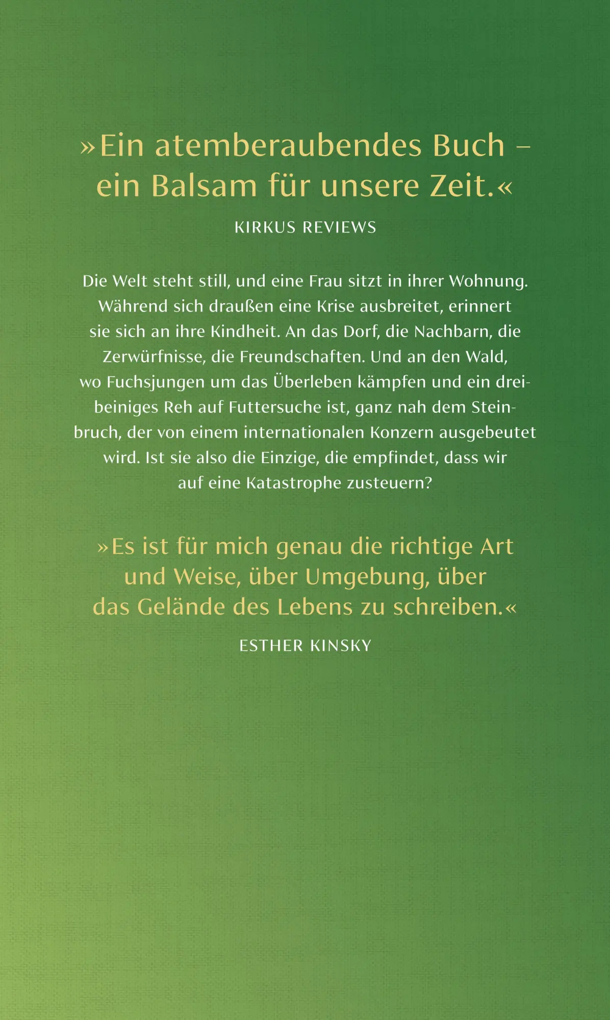 Rückseite: 9783518431634 | Notstand | Daisy Hildyard | Buch | 237 S. | Deutsch | 2024